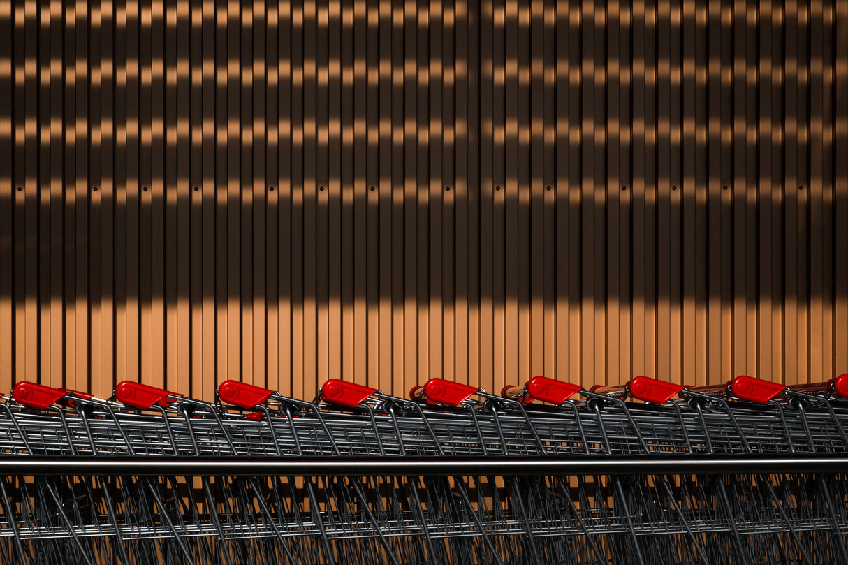 Shopping venture Poster och Canvastavla