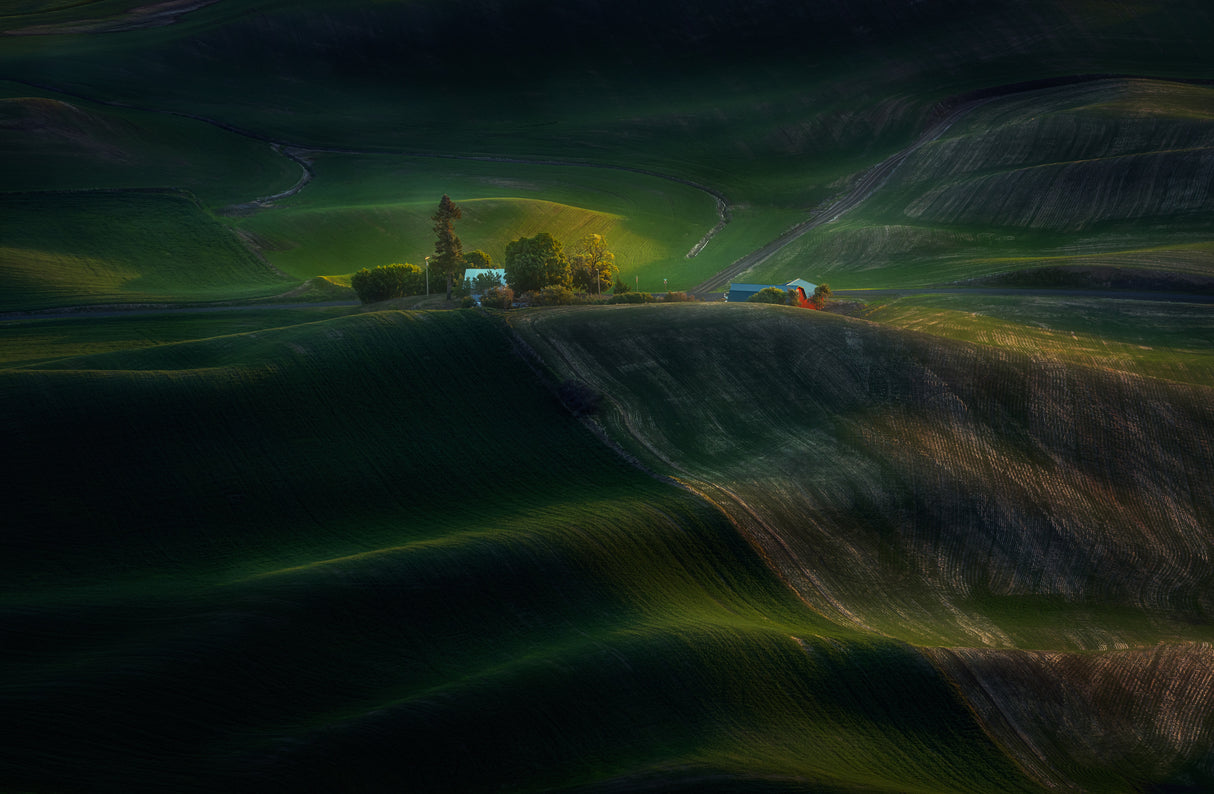 Farm Land Poster och Canvastavla