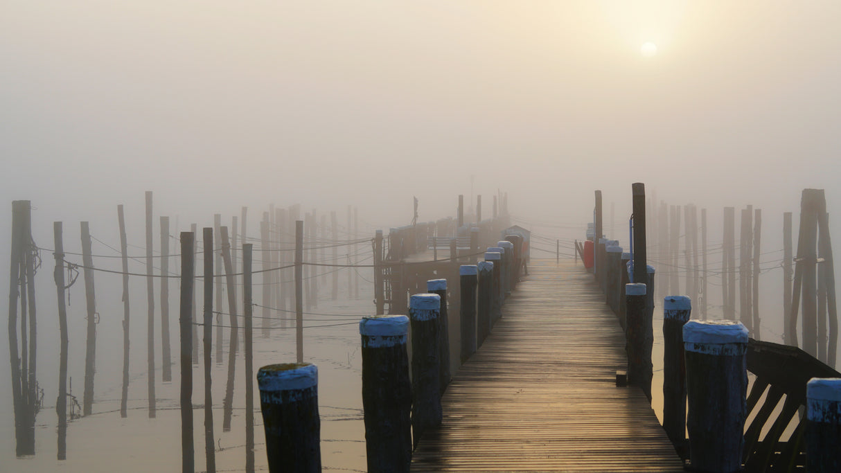 Golden fog at the lonely pier Poster och Canvastavla