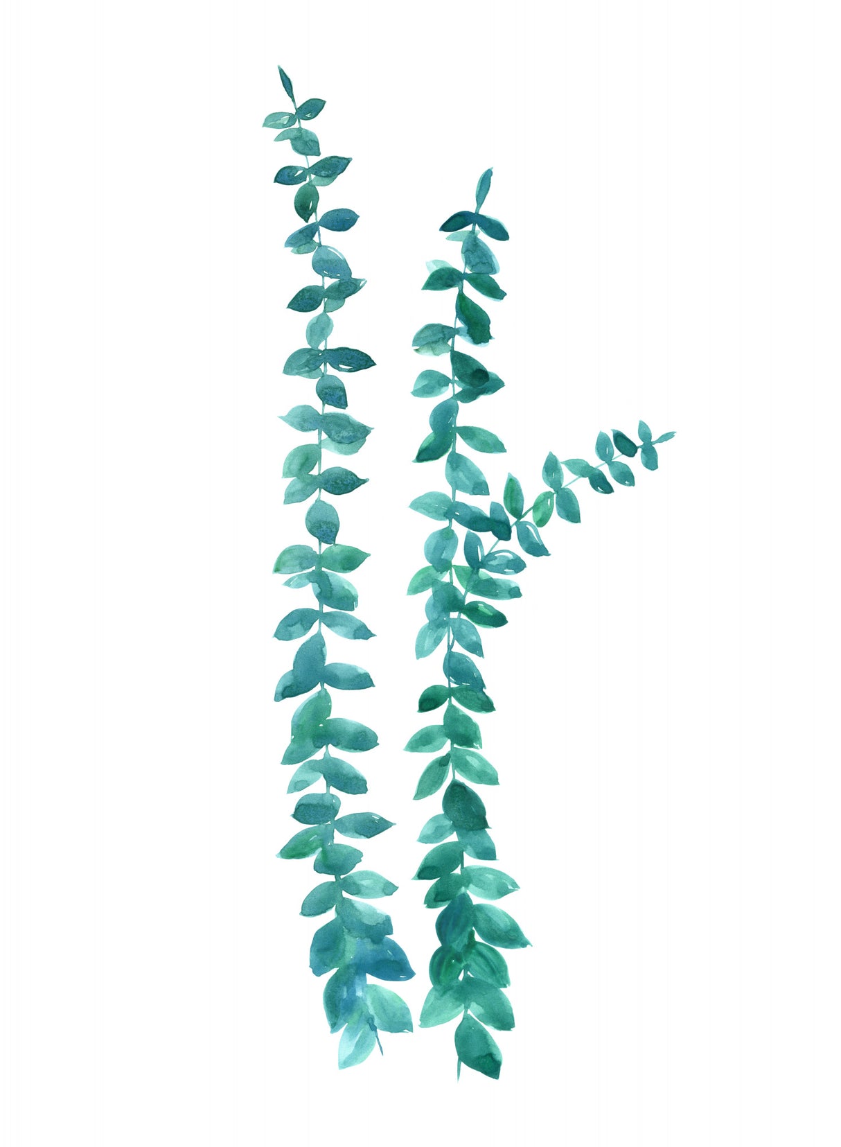 Watercolor eucalyptus branches in teal Poster och Canvastavla