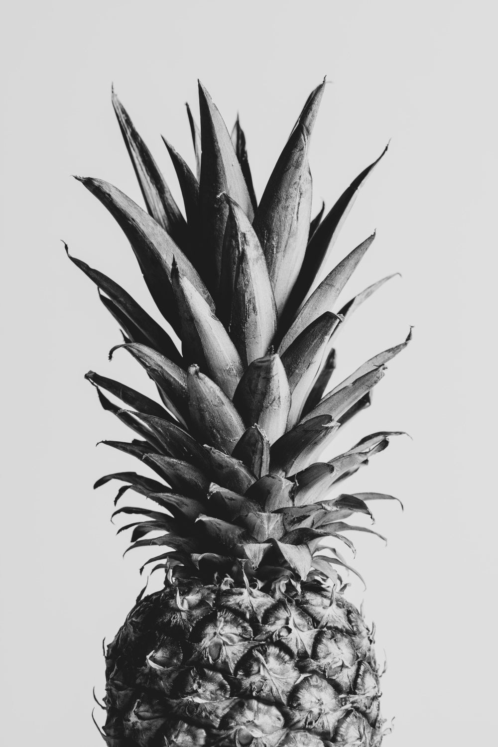 Pineapple Black & White 02 Poster och Canvastavla
