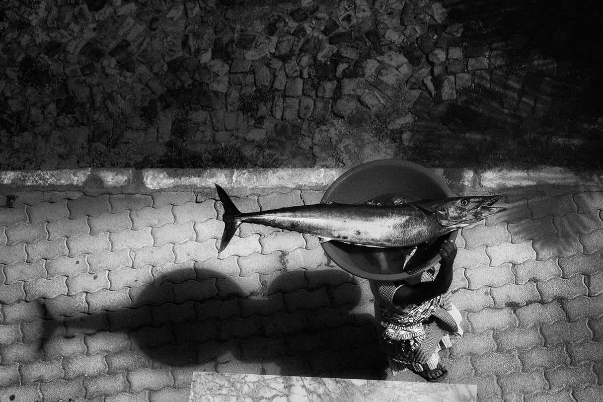 Oceans Apart Poster och Canvastavla