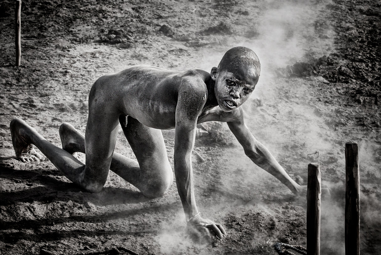 Collecting dung in a mundari cattle camp-II Poster och Canvastavla