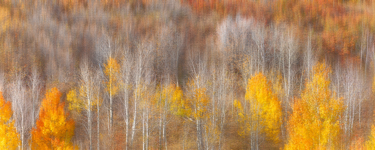 Autumn Painting Poster och Canvastavla