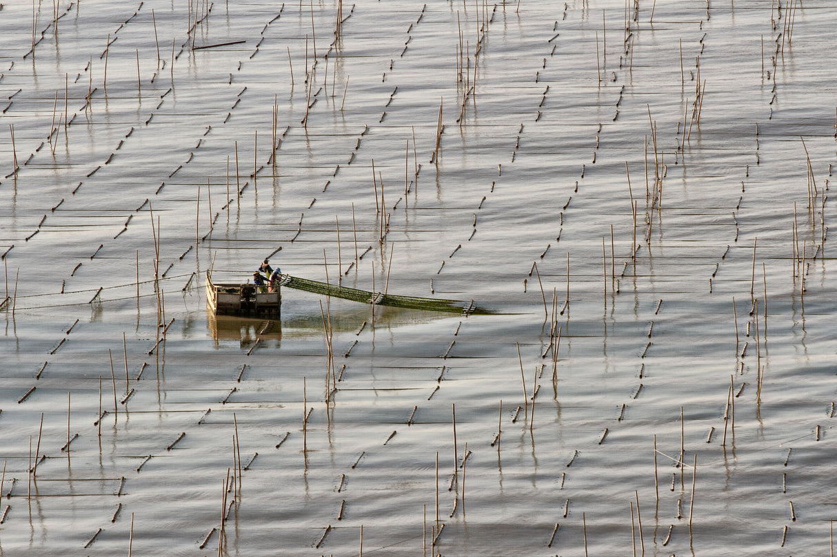 fisherman Poster och Canvastavla