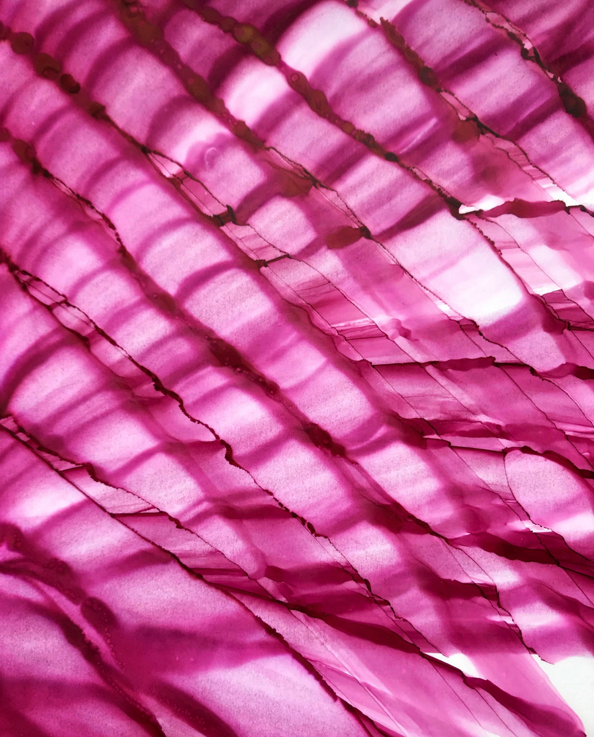 Raspberry Ripple Poster och Canvastavla