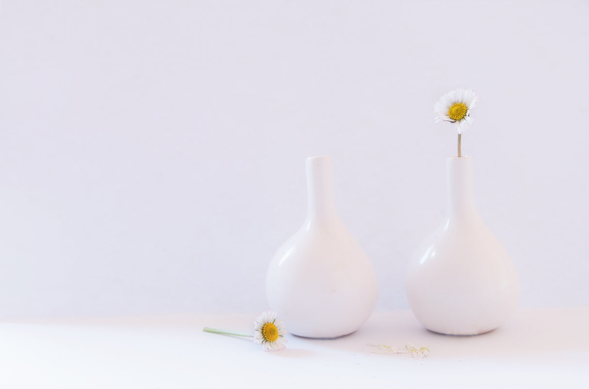 white beauty Poster och Canvastavla