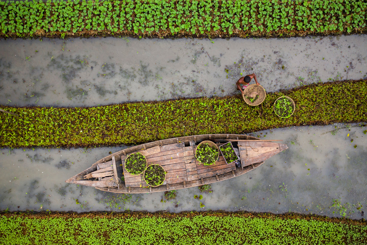 Sustainable agriculture Poster och Canvastavla