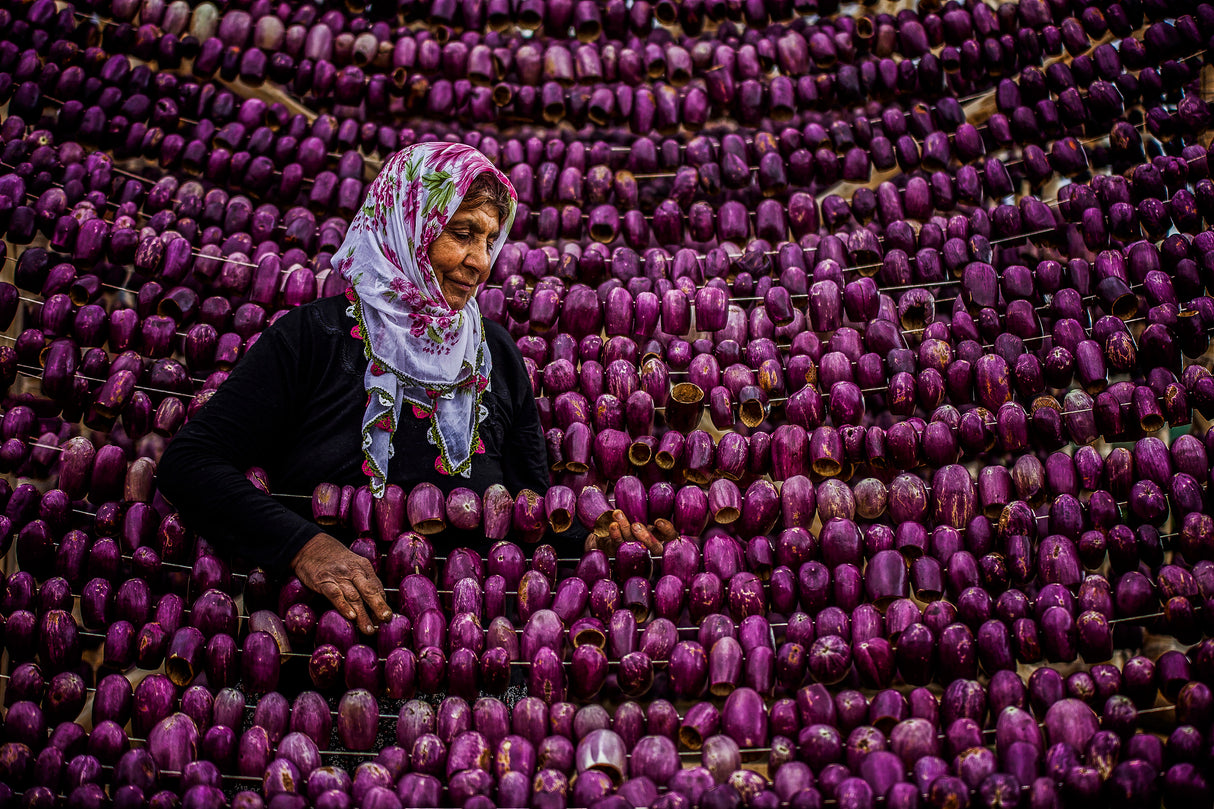purple Poster och Canvastavla