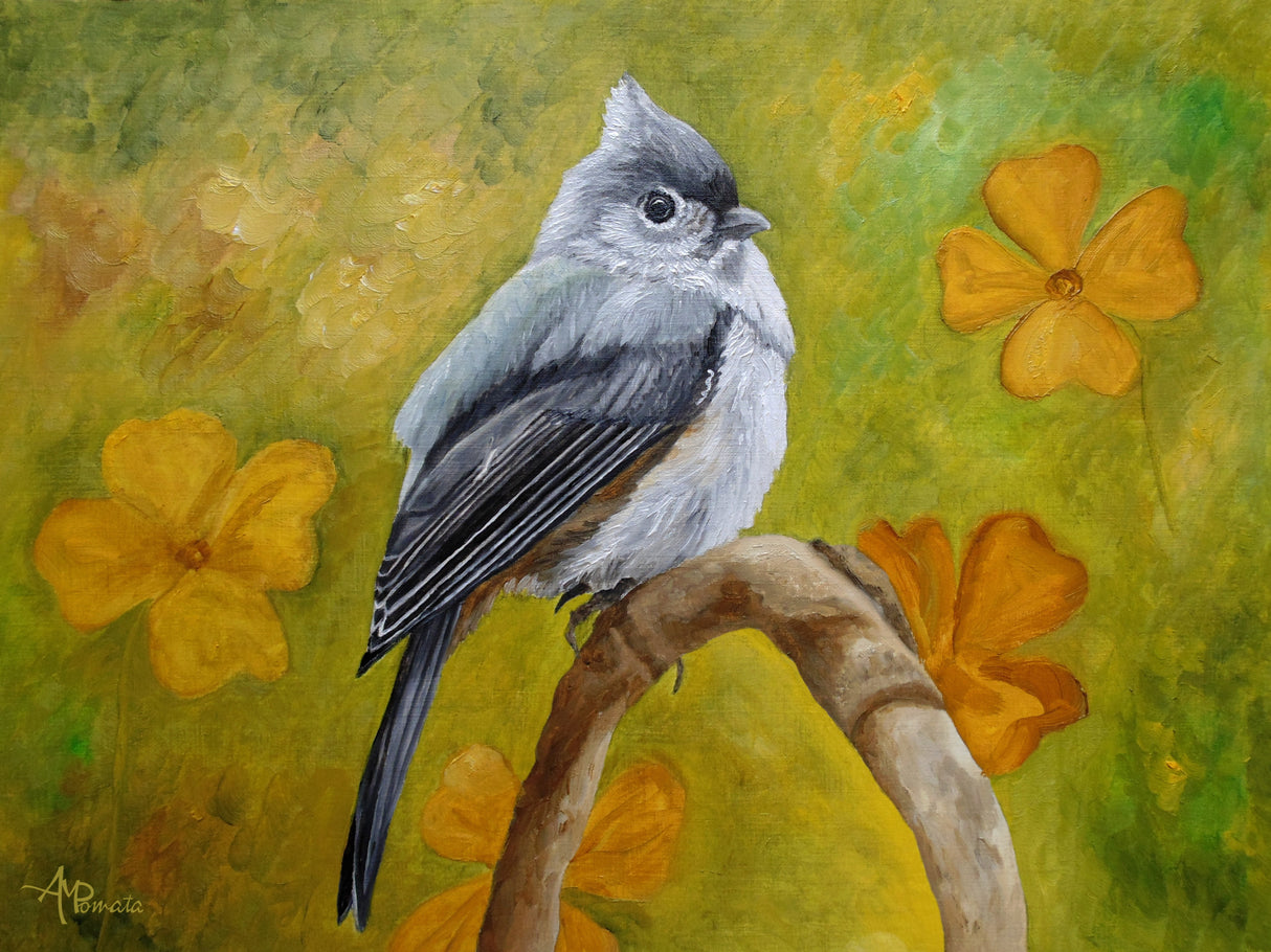 Big Eyed Tufted Titmouse Poster och Canvastavla