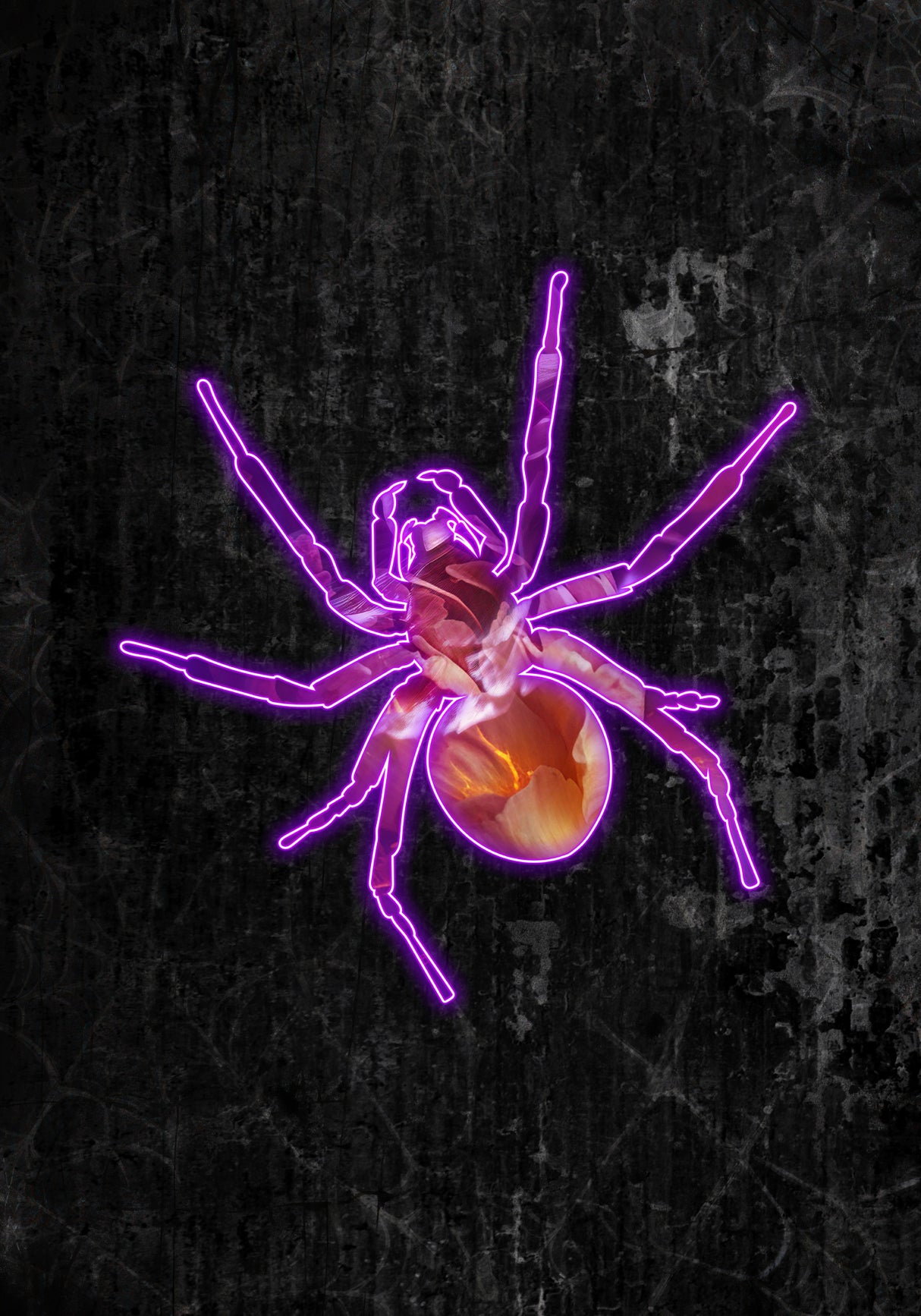 Neon halloween spider Poster och Canvastavla