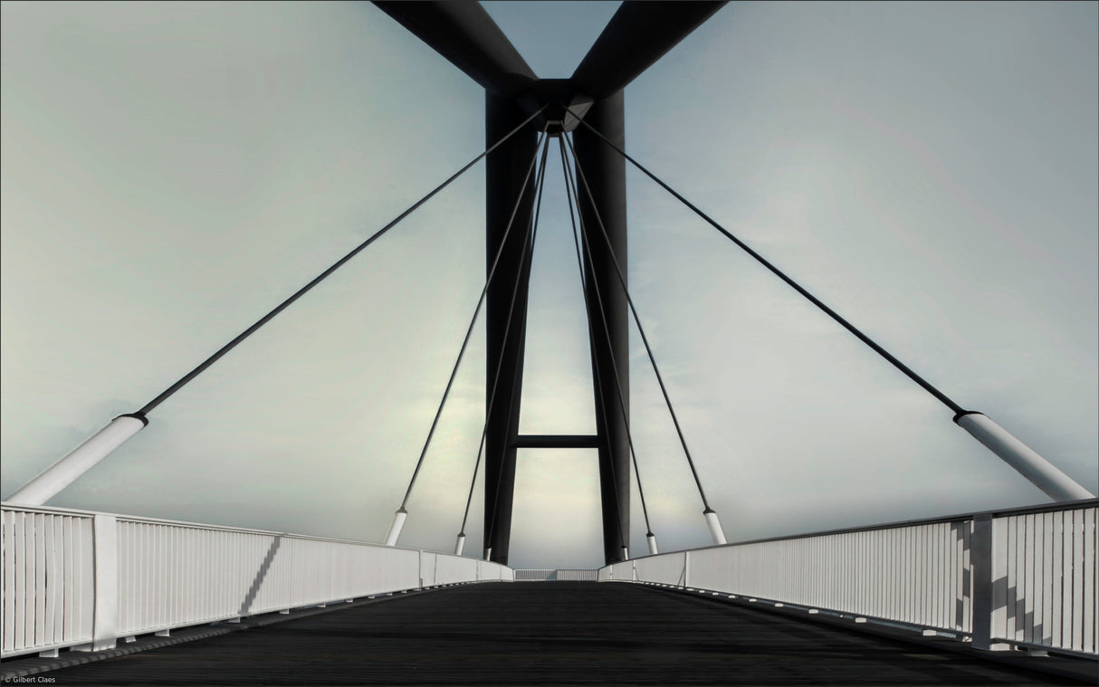 suspension bridge Poster och Canvastavla