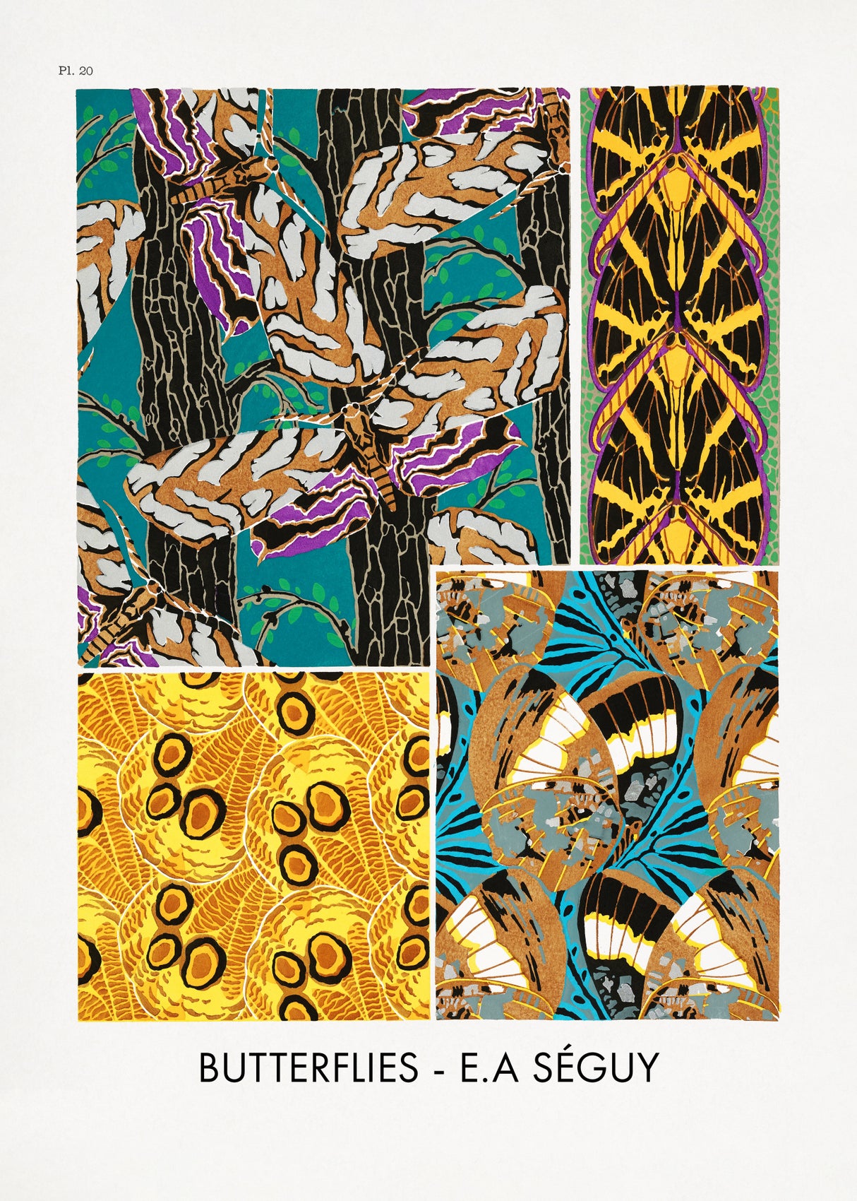 Butterflies 20 Poster och Canvastavla