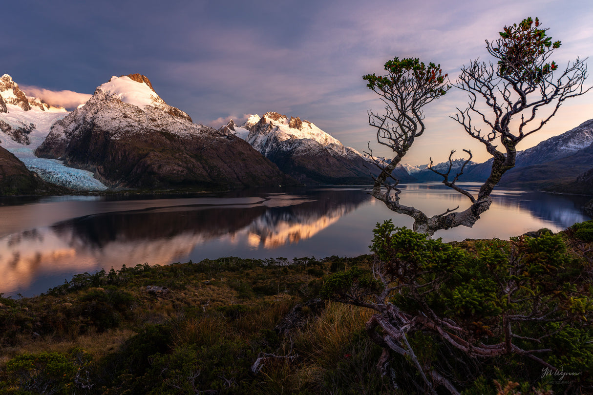 Marvels of Patagonian Fjords Poster och Canvastavla