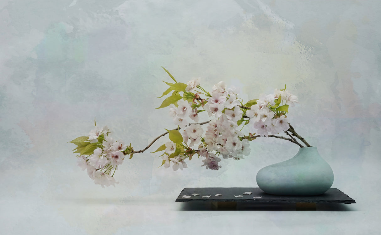 Spring vibe . Poster och Canvastavla