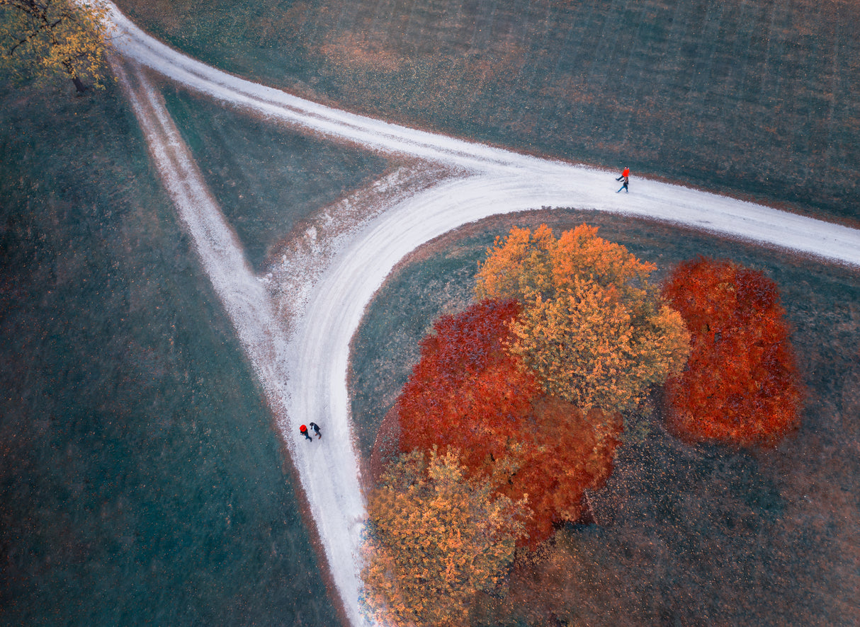 Autumn Impression Poster och Canvastavla