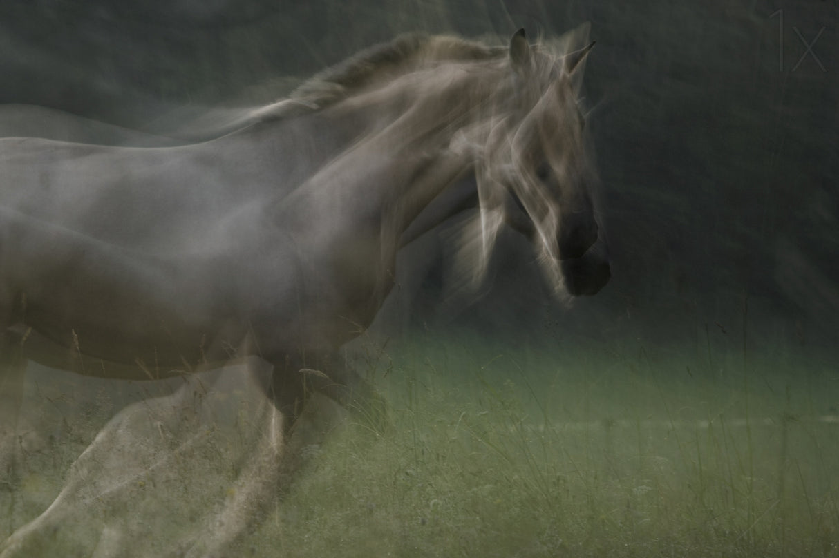 ghost shine Poster och Canvastavla