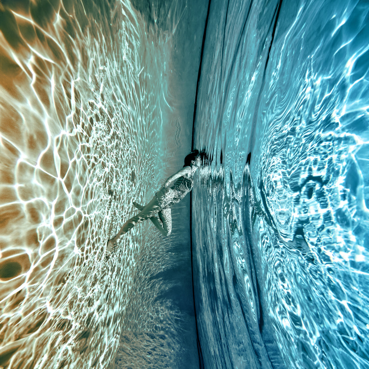 New Realism, Altered Reality Poster och Canvastavla