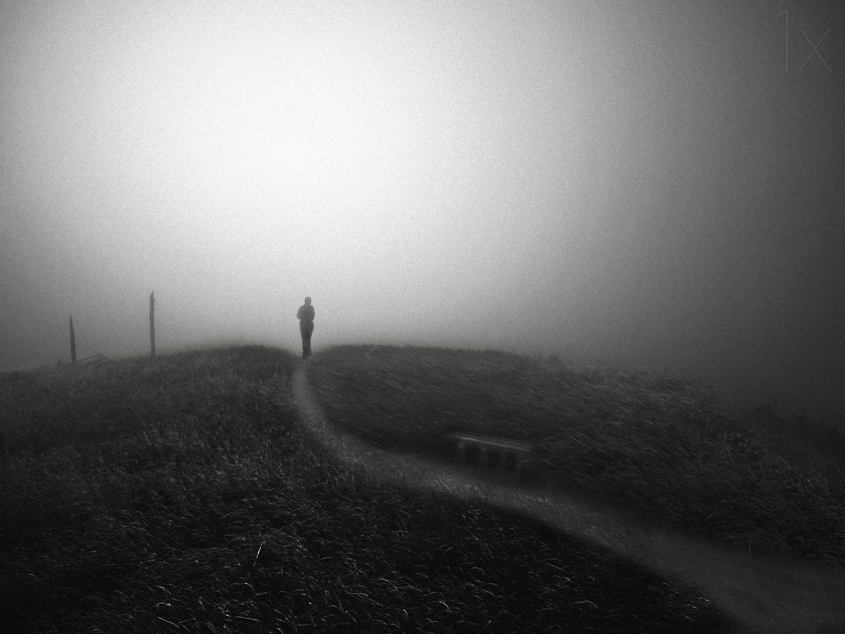 Chemin des brumes II Poster och Canvastavla