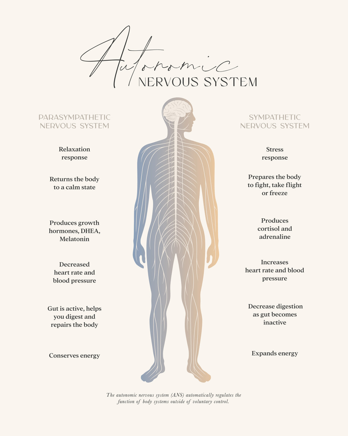 Ans Poster och Canvastavla