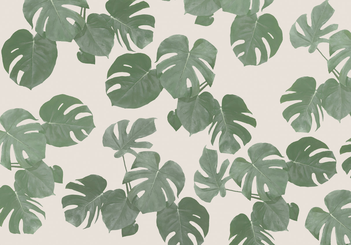 Monstera Leaves Poster och Canvastavla