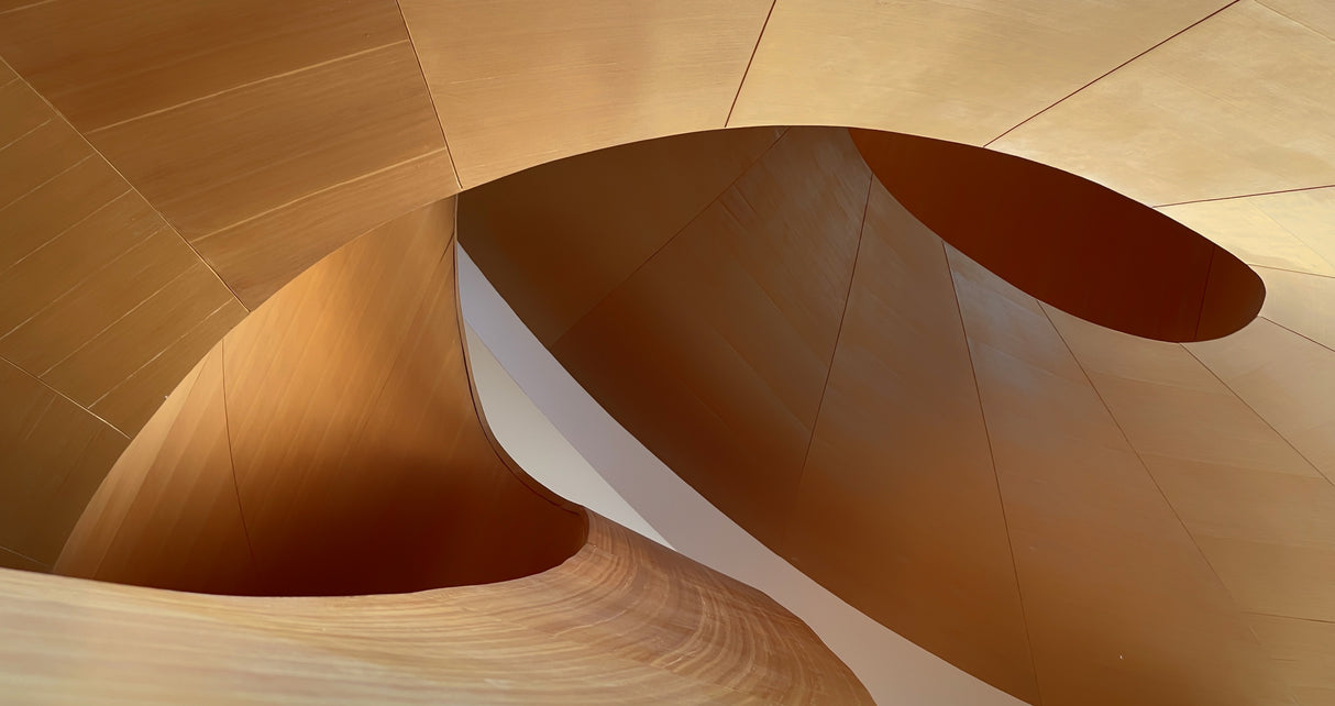 Curves Poster och Canvastavla
