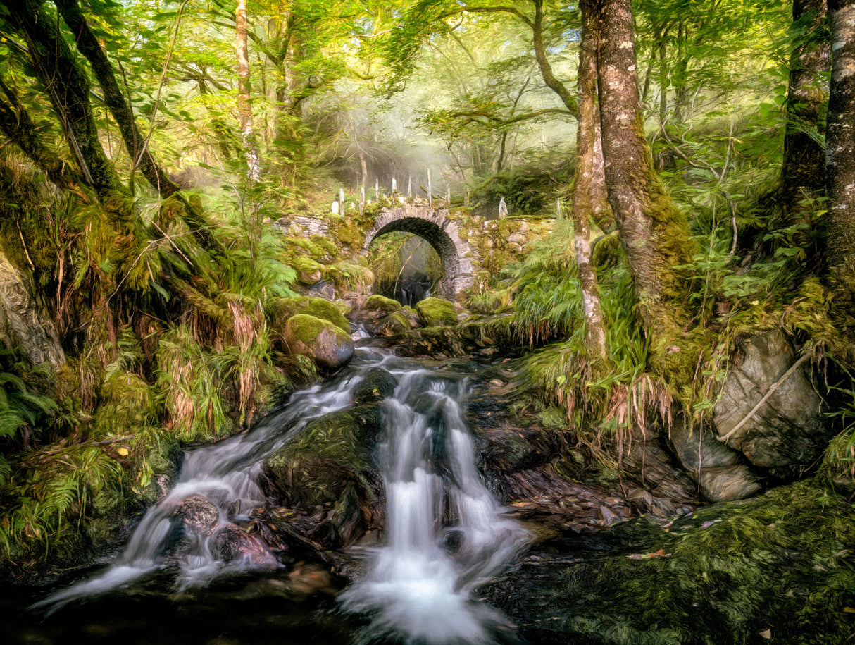 Fairy Bridge Poster och Canvastavla