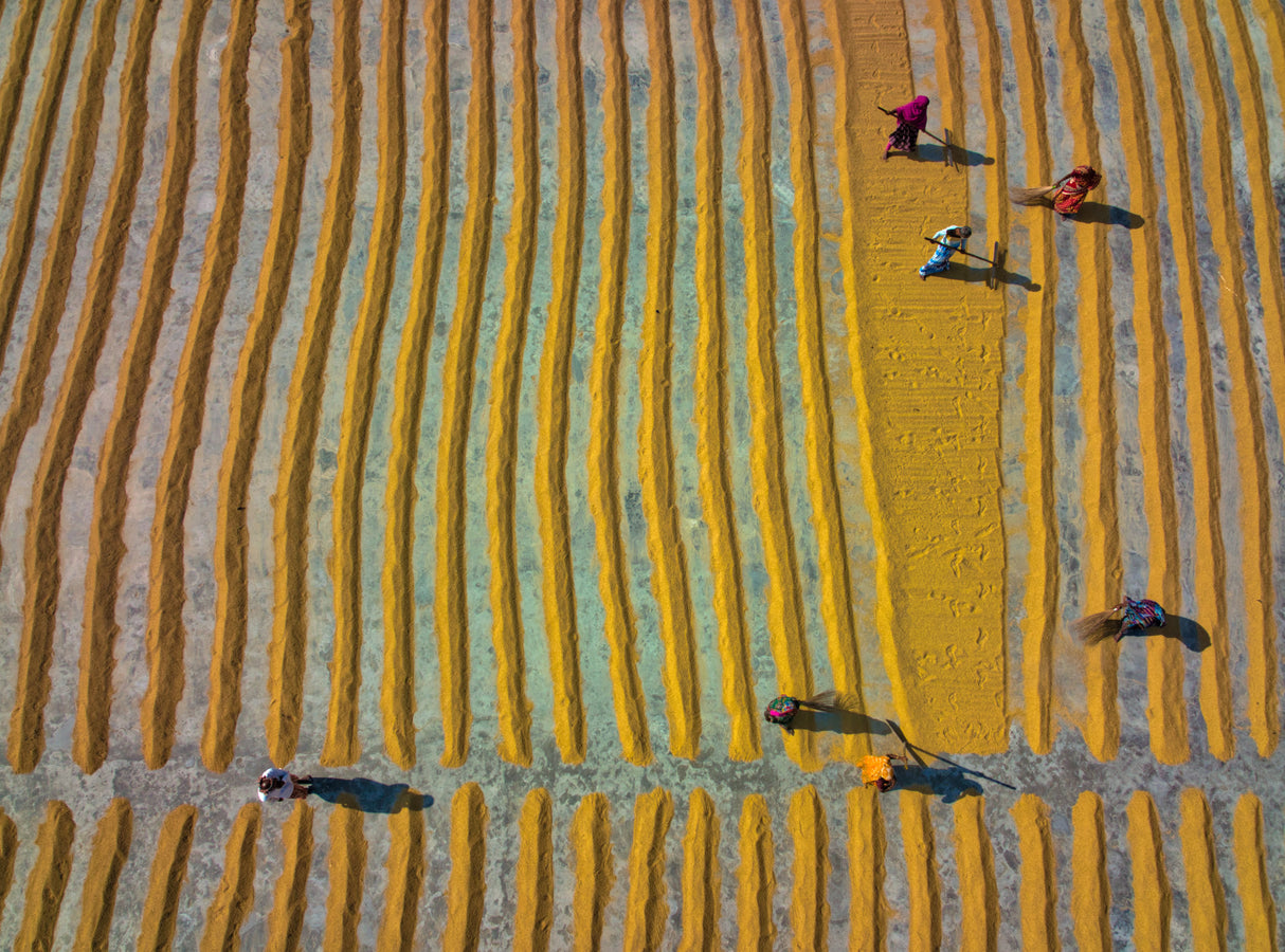 Work in progress in a rice mill Poster och Canvastavla