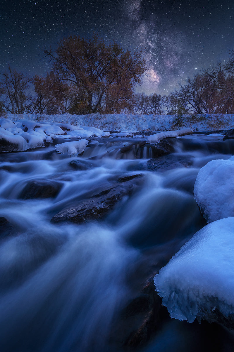 Frozen Autumn Poster och Canvastavla