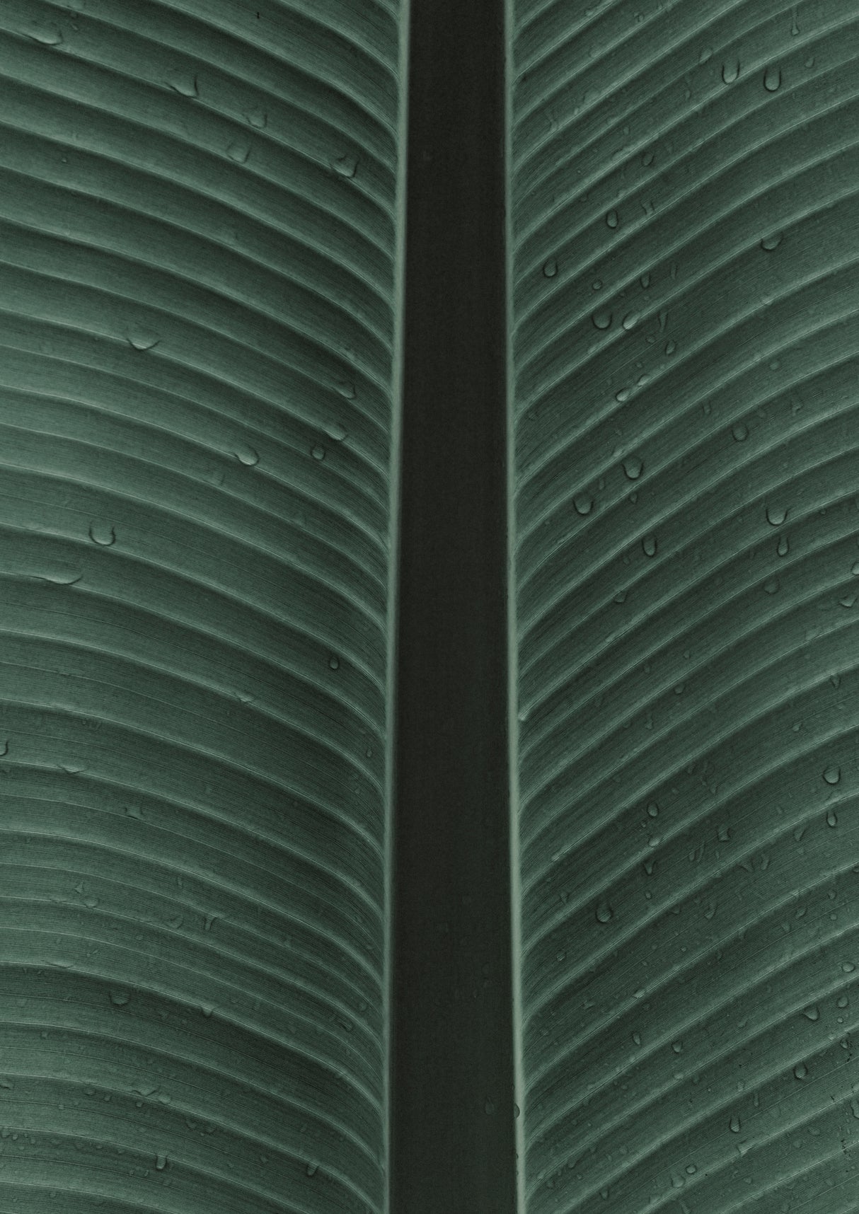 My Mint Moment 12 Poster och Canvastavla