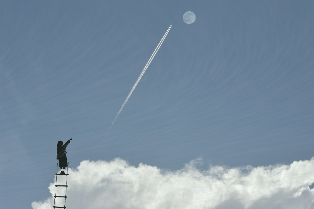 Look up there Poster och Canvastavla