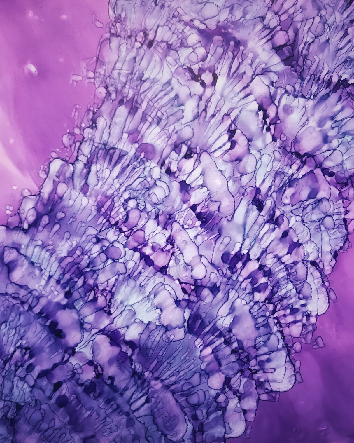 She Sells Sea Shells Poster och Canvastavla