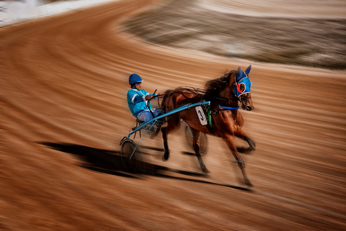 Horse Races in Menorca Poster och Canvastavla