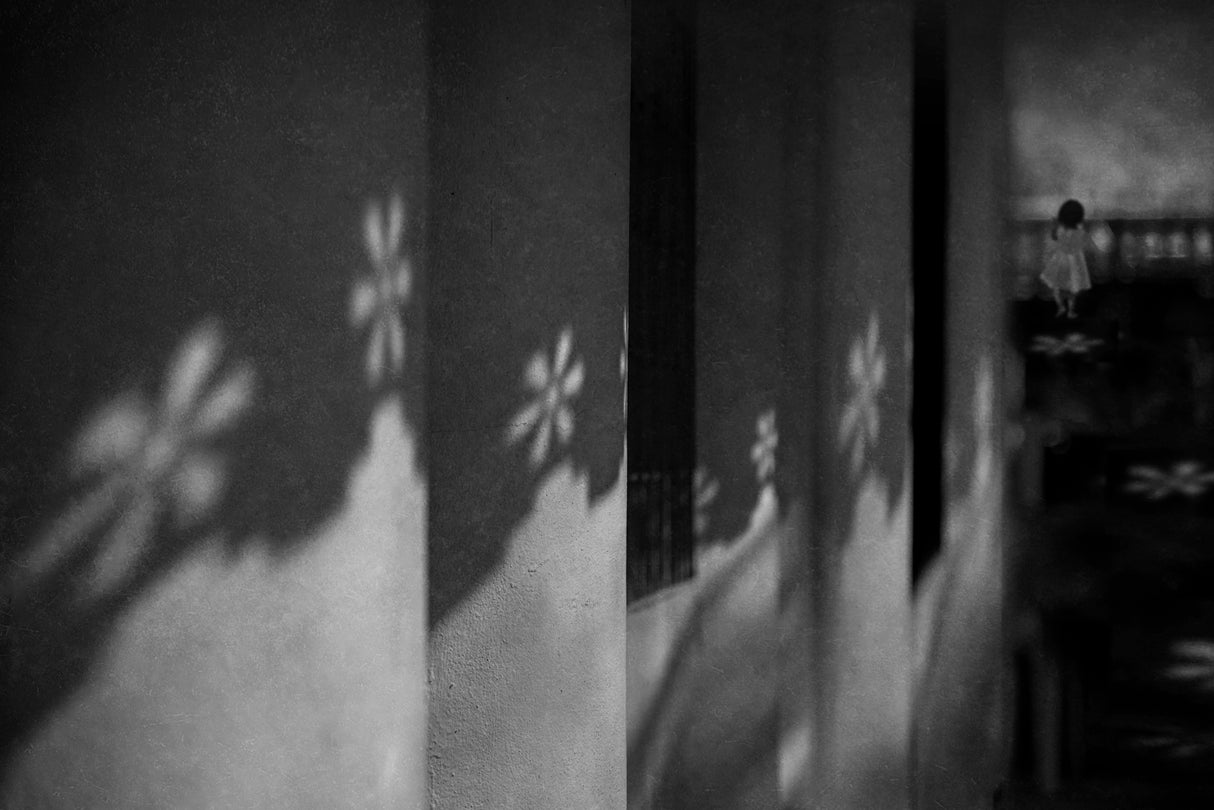 Where have all the flowers gone Poster och Canvastavla