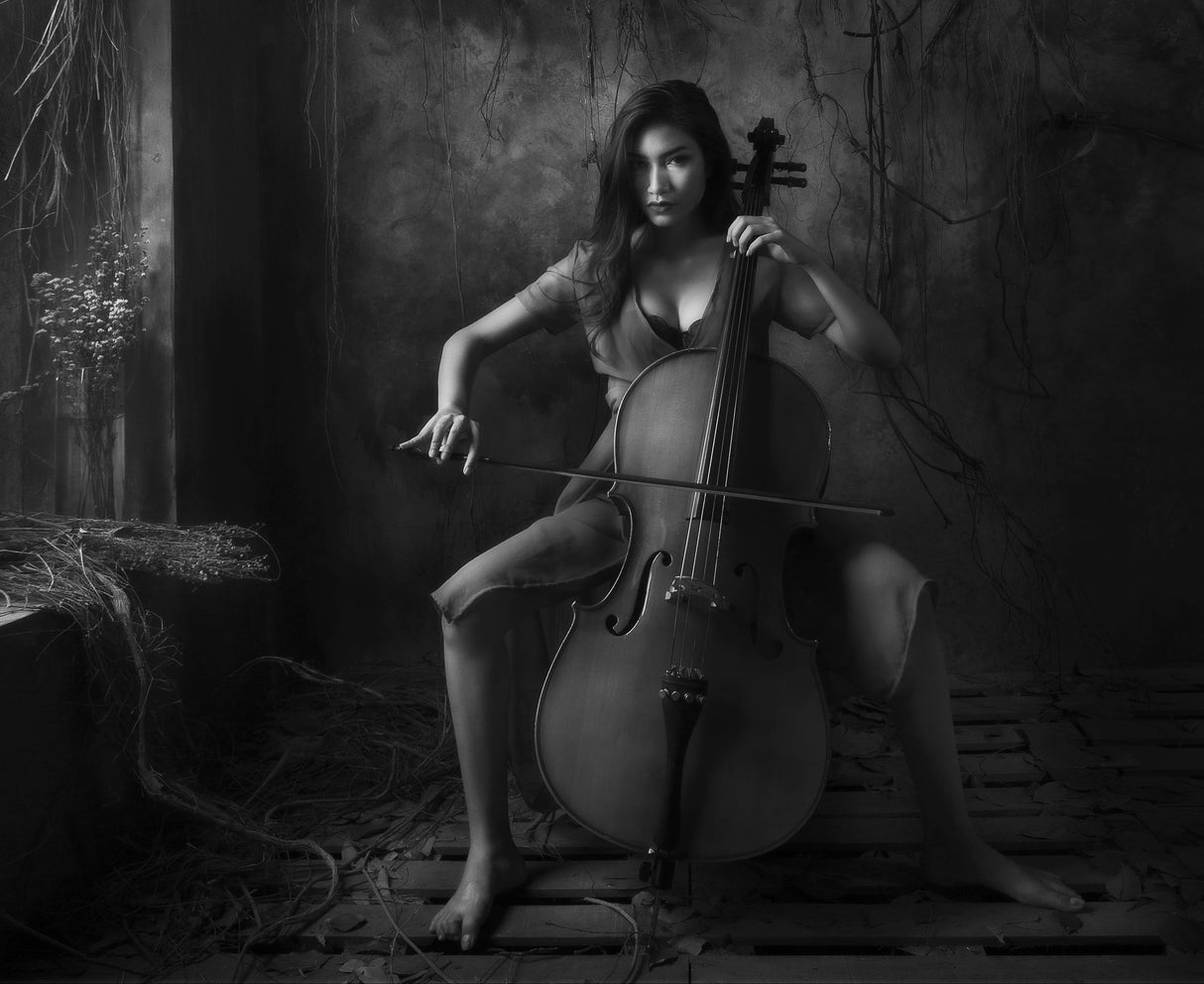 The Cellist Poster och Canvastavla