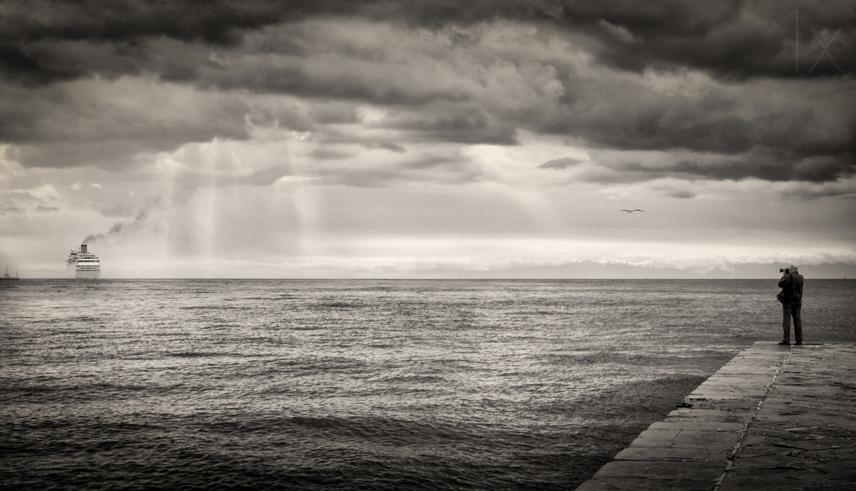 The photographer and the sea Poster och Canvastavla
