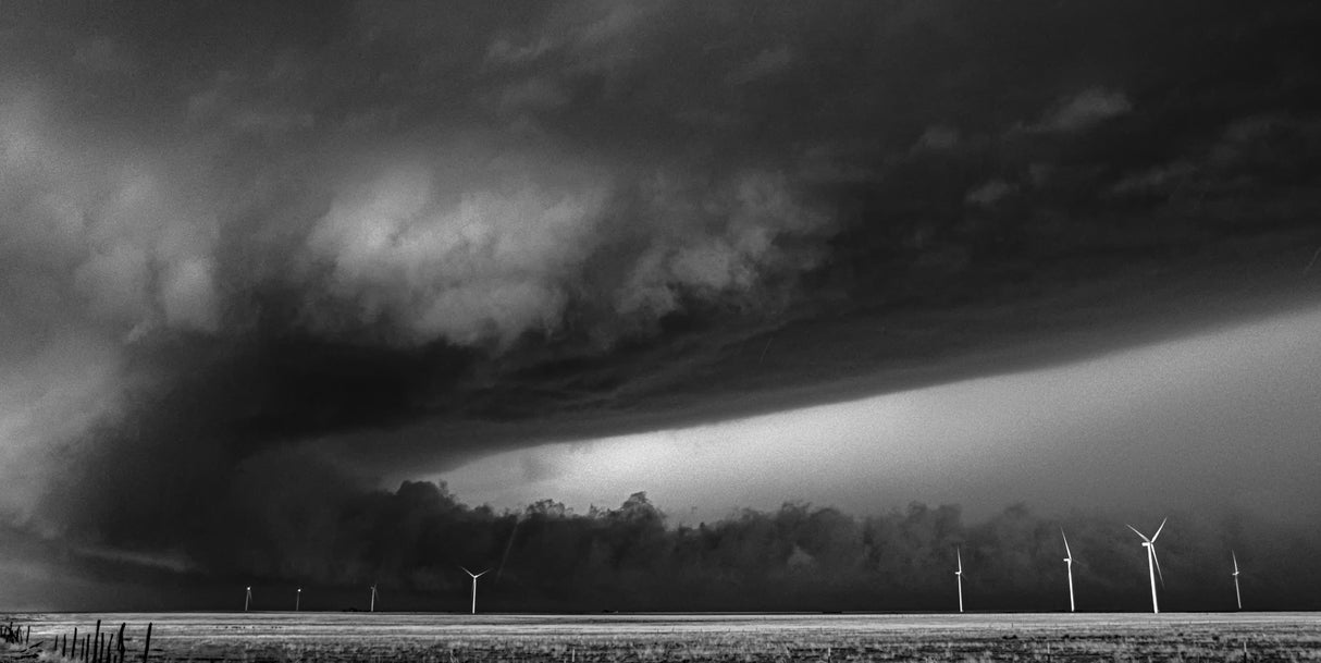 Grayscale Supercell Poster och Canvastavla