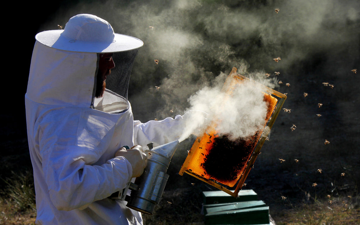 Beekeeping Poster och Canvastavla
