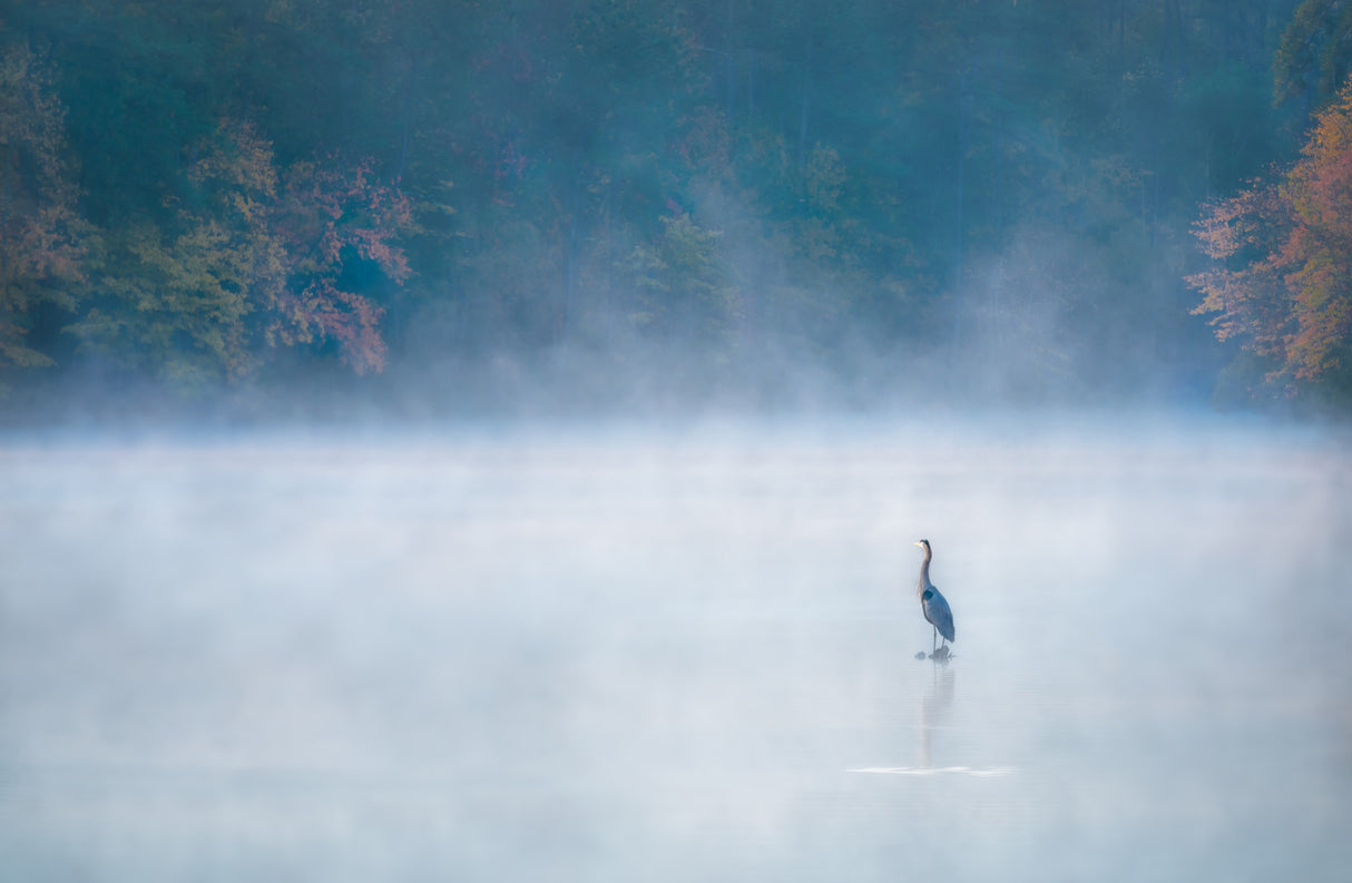 The Guardian of Lake Johnson Poster och Canvastavla
