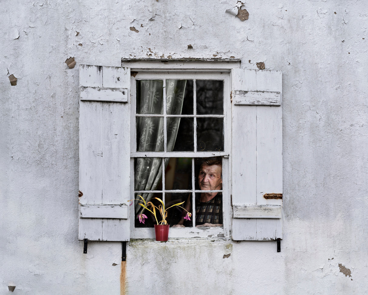Social distancing and a faded flower Poster och Canvastavla