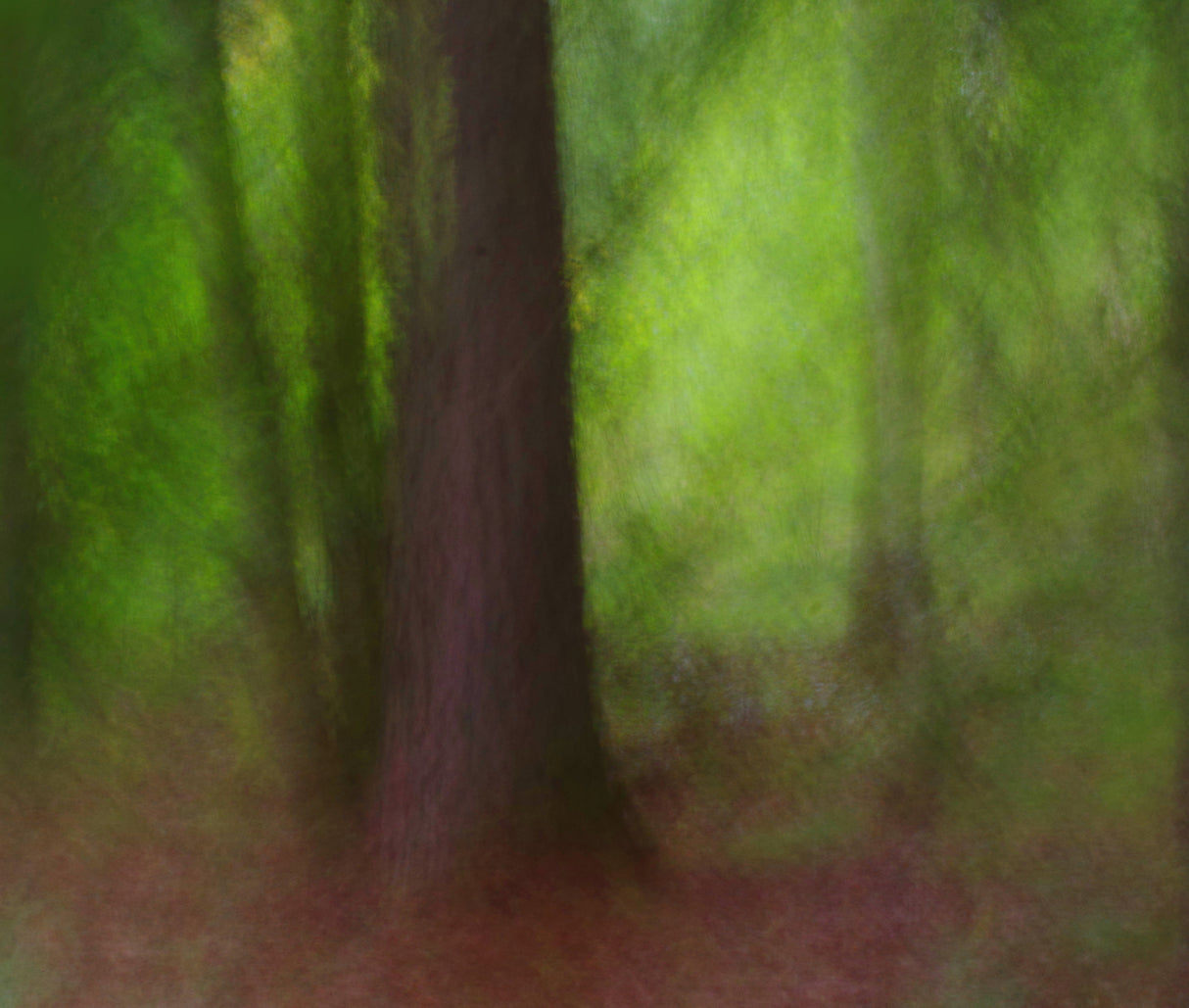 Natures soft poetry. Poster och Canvastavla