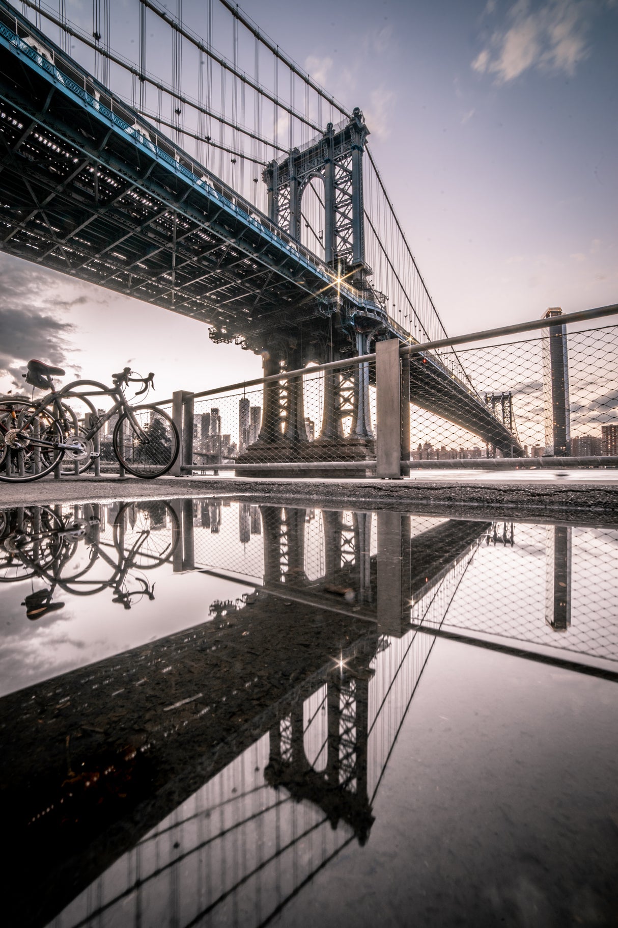 DUMBO Reflections Poster och Canvastavla