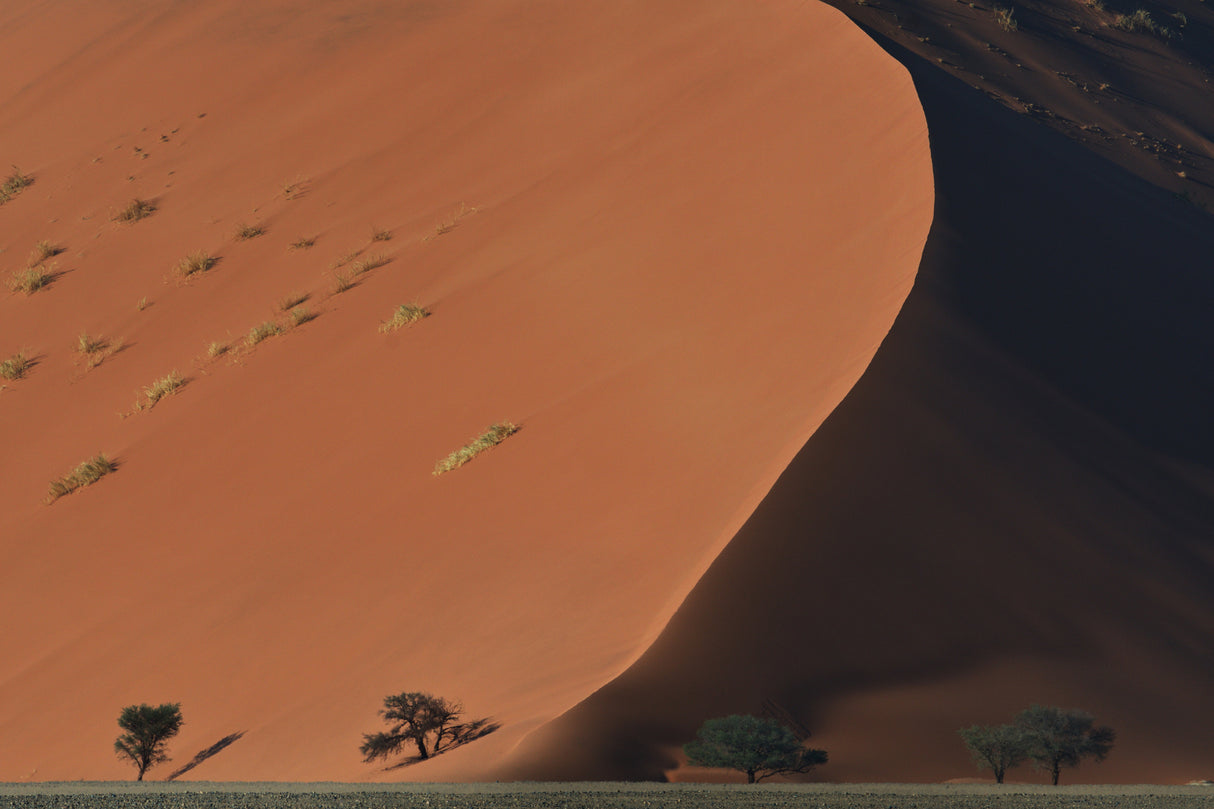 Namibian Dunes Poster och Canvastavla
