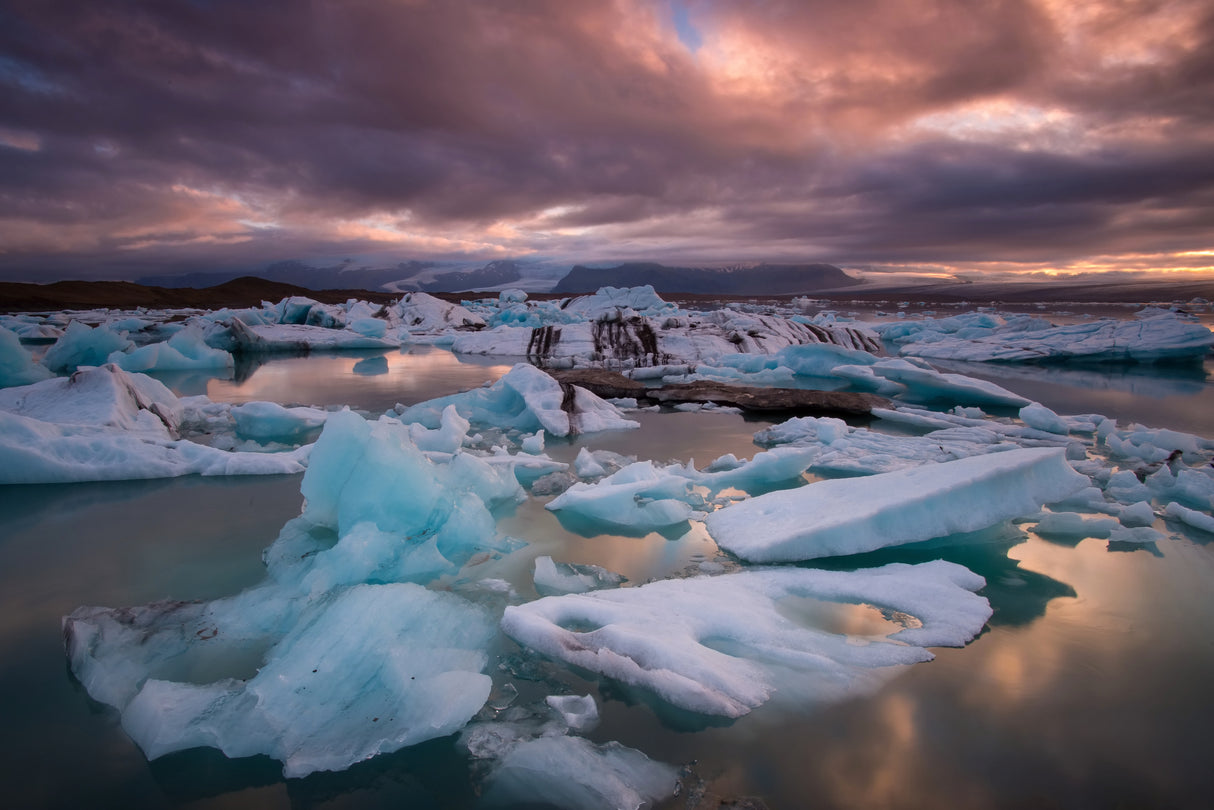 The Jökulsárlón Poster och Canvastavla