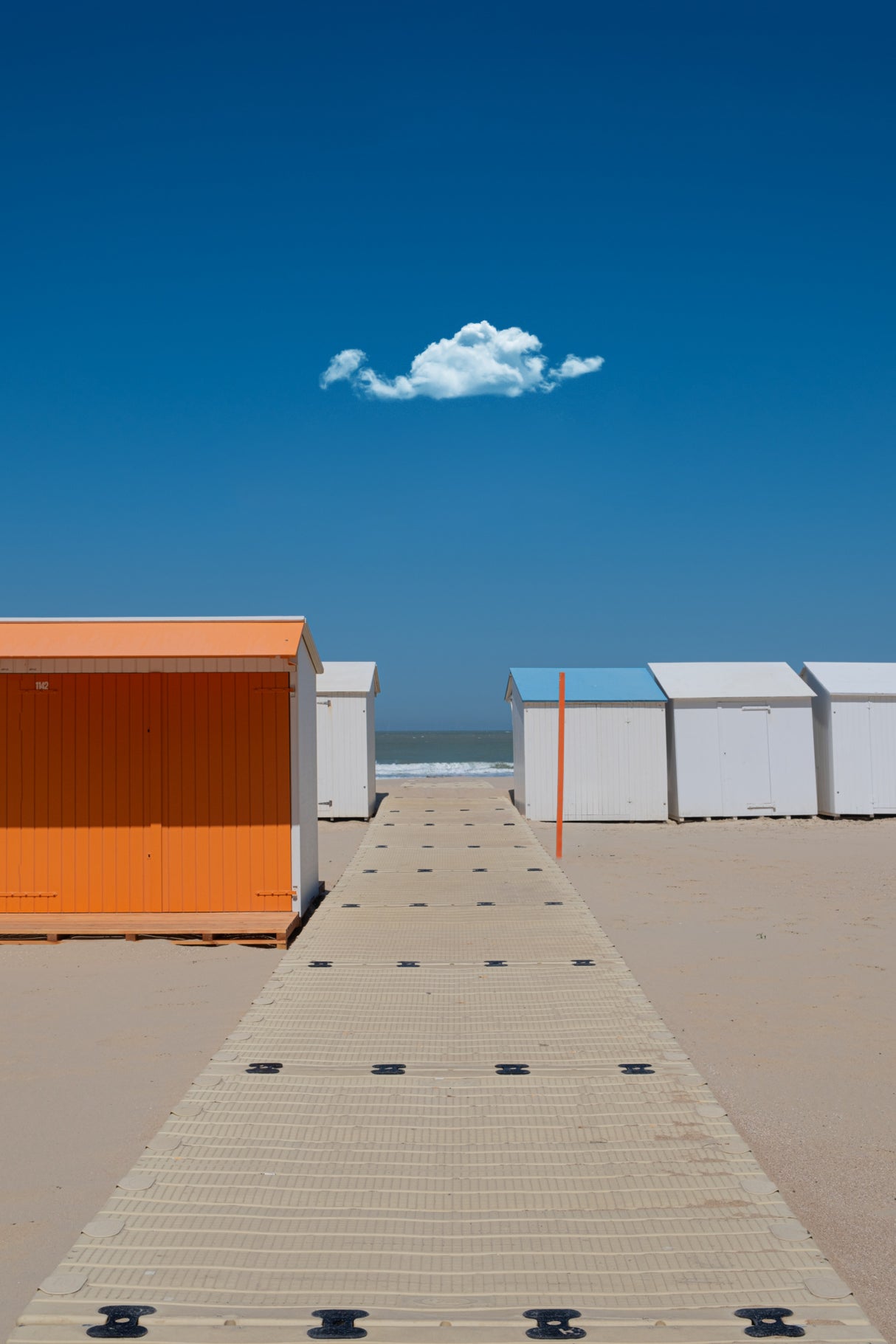 on the beach Poster och Canvastavla