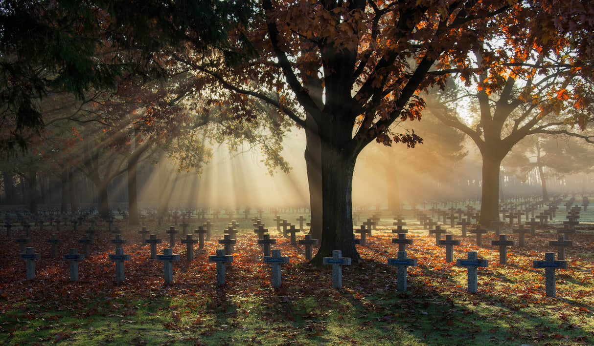 In Flanders Fields Poster och Canvastavla