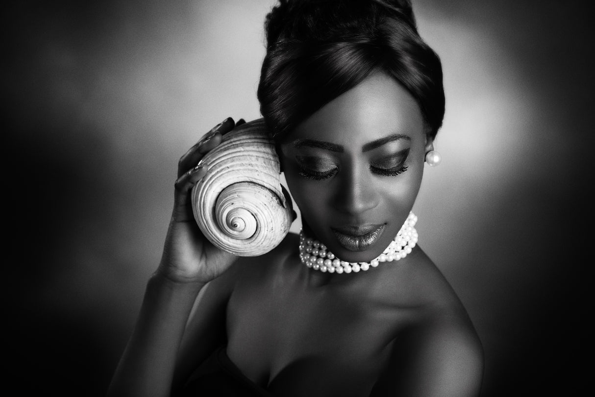 The shell Poster och Canvastavla