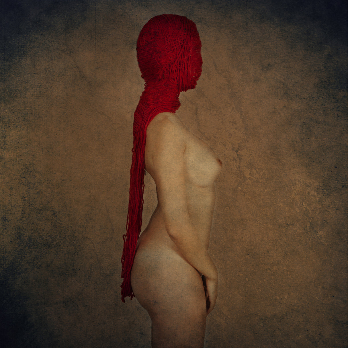 The thin red rope IV Poster och Canvastavla