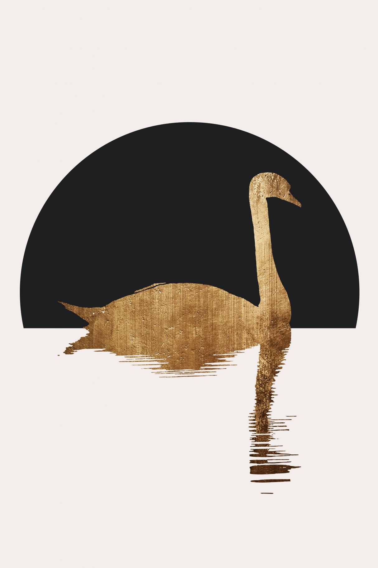 The Swan Black Poster och Canvastavla