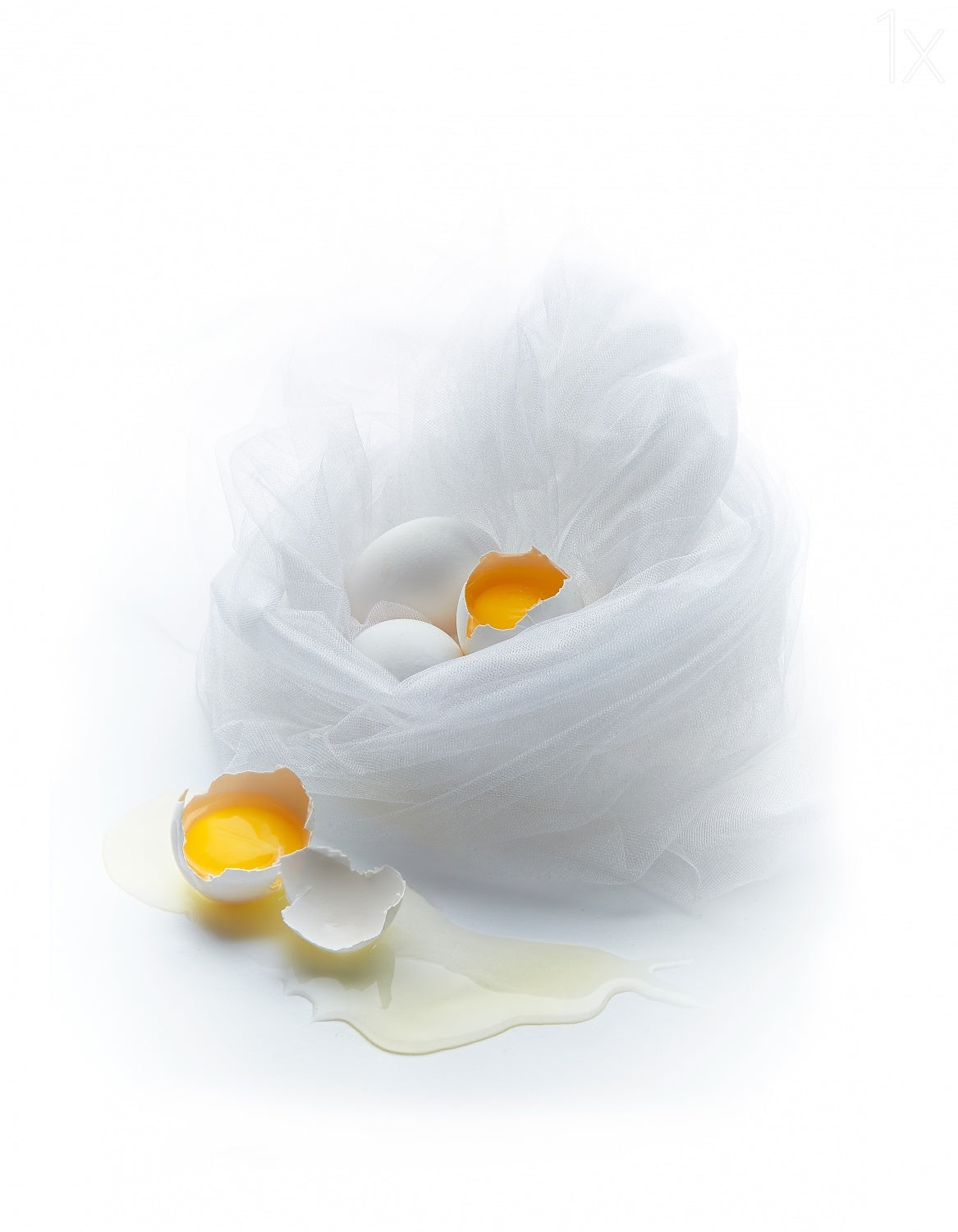 Eggs Poster och Canvastavla
